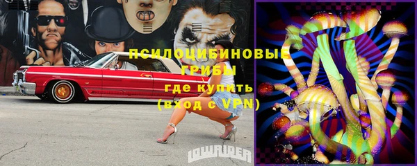 стаф Куйбышев