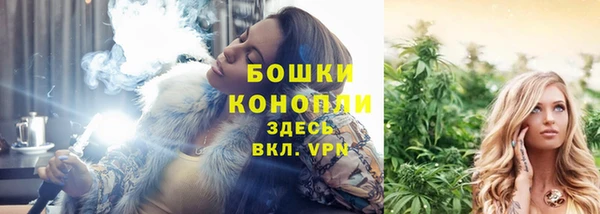 винт Лиски